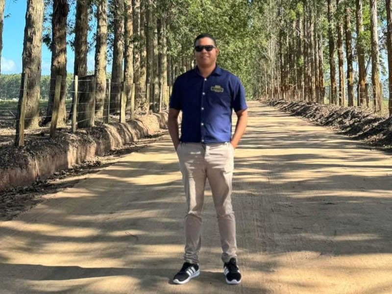 Turismo na Bahia Um Encontro de Cultura Natureza e Hospitalidade